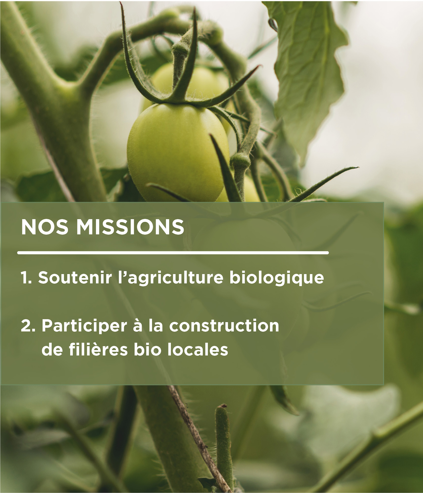 Agriculture Bio